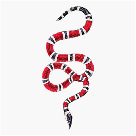 The Meaning Behind The Song: Gucci Snake by 88GLAM